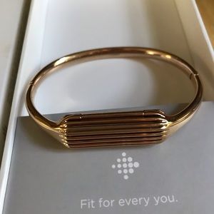 Fitbit Flex 2 in Rose Gold